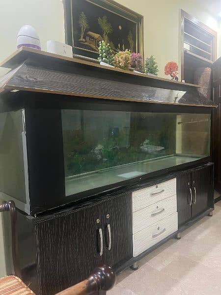 Fish Acquarium with Sump Filtration System 0