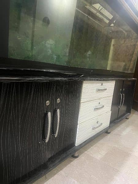 Fish Acquarium with Sump Filtration System 2