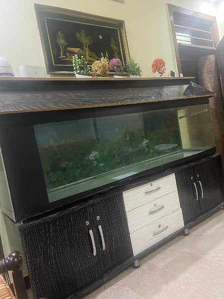 Fish Acquarium with Sump Filtration System 4