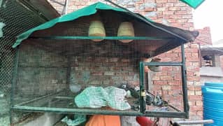 cage for sale