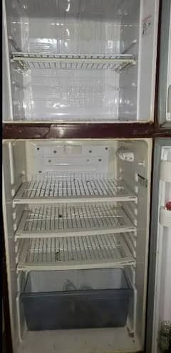 Orient inverter medium size fridge