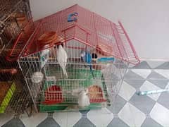 1 bird cage ,