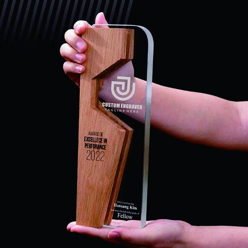 Award shield . Glass shield . Trophy . metal & wood award trophie 6