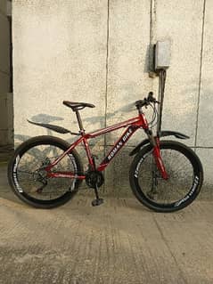 Roman mountain bicycle for sale 0