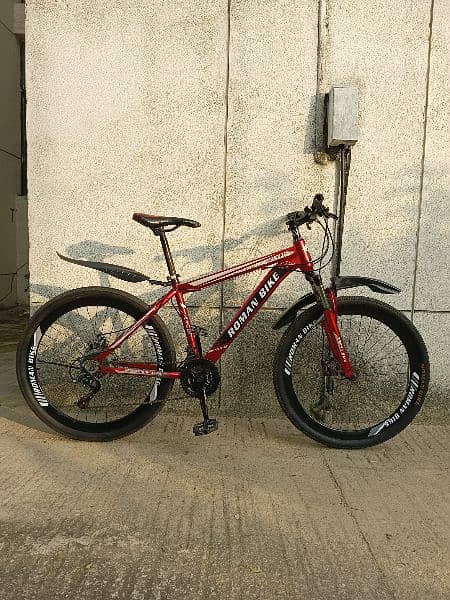 Roman mountain bicycle for sale 0