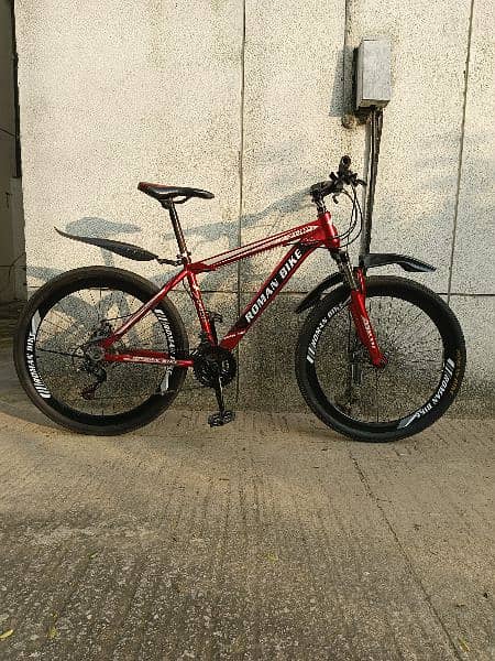 Roman mountain bicycle for sale 2