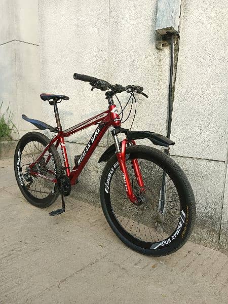 Roman mountain bicycle for sale 4