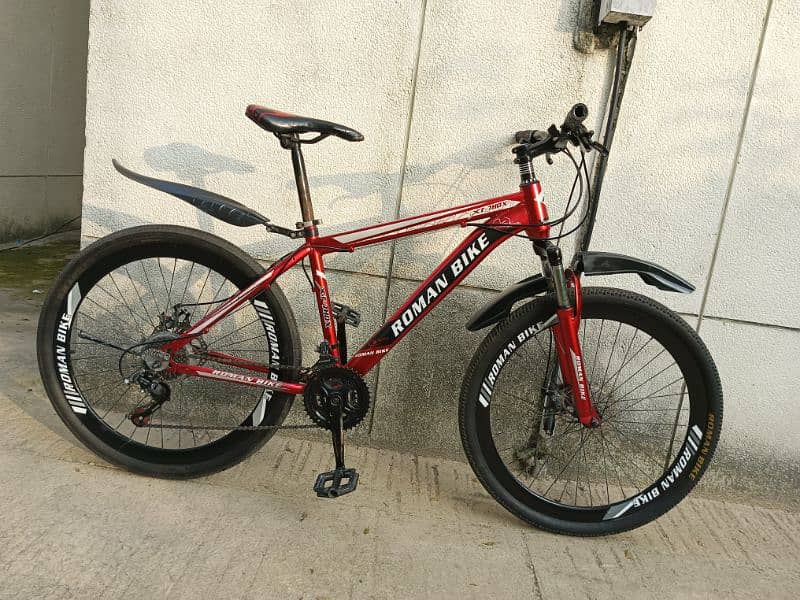 Roman mountain bicycle for sale 5