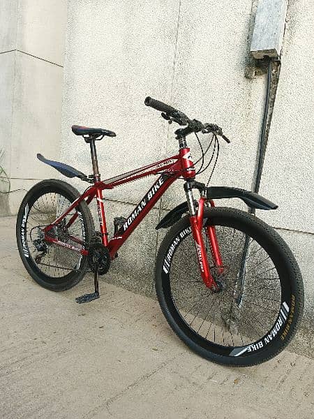 Roman mountain bicycle for sale 6