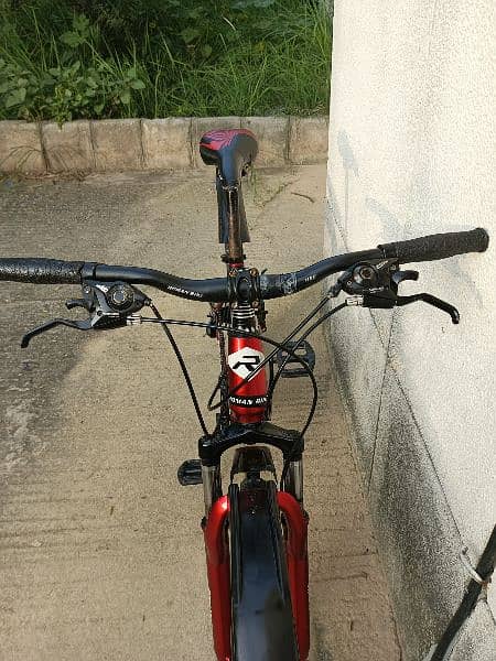 Roman mountain bicycle for sale 9