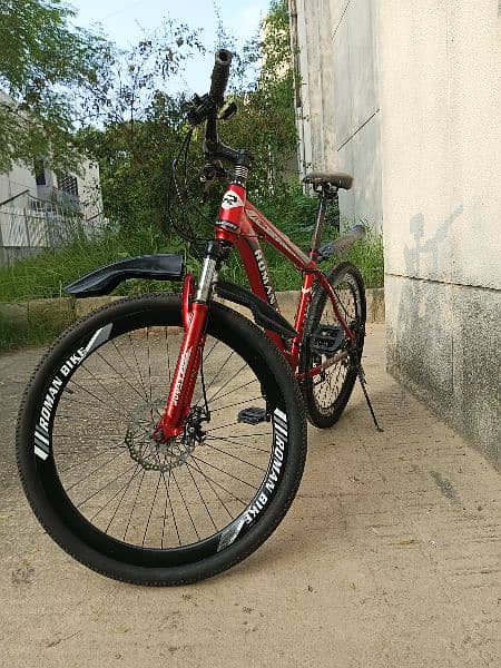 Roman mountain bicycle for sale 10