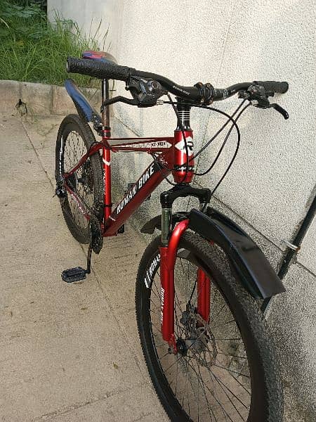 Roman mountain bicycle for sale 11