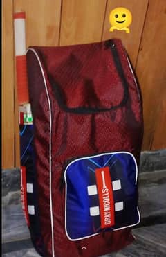 cricket kit with all equipments, bag and Lightweight grey Nicolls bat.