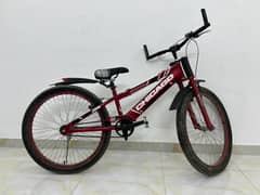 sport cycle