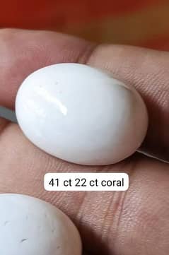 White coral Italian stone marjan