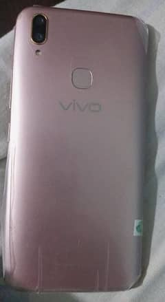 vivo