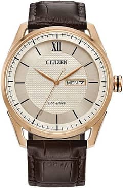 Citizen Men's Classic Eco-Drive Watch