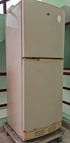 PEL Refrigerator