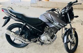 Yamaha YBR 125 (Japanese) 0