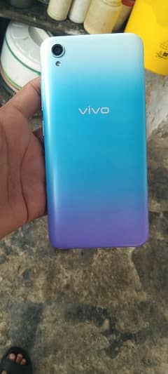 Vivo