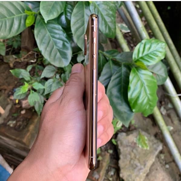 iphone xs gold 3