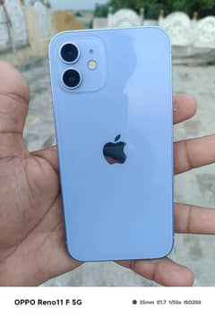 Iphone 12 (100% BH)