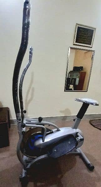 Elliptical Cycle 0