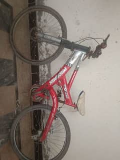 Imported Phoenix Limited Edition Sports Cycle In Best Condition 0