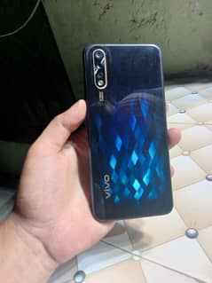 vivo