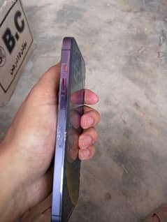 iphone 14promax non PTA  purple color