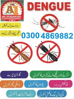 Pest Control/Termite Control/Fumigation Spray/Deemak Control Services