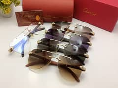 Catrier Men EyeWear