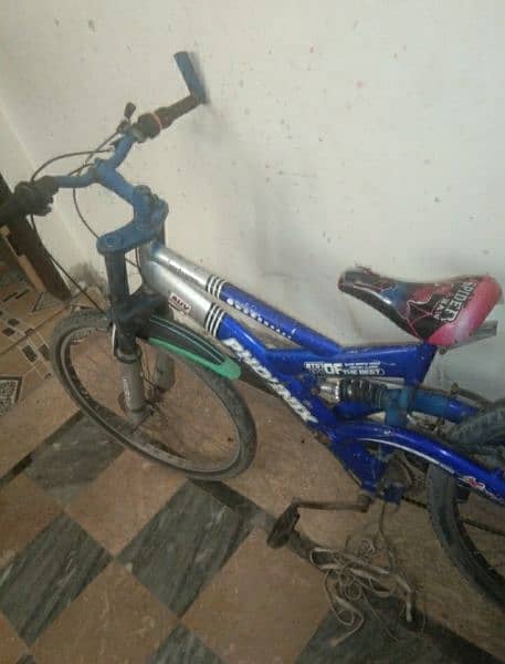 Imported Phoenix Limited Edition Sports Cycle In Best Condition 1