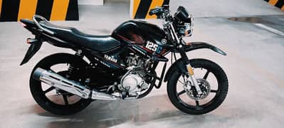 Yamaha YBR 125G 2023 color Black  For Sale 0