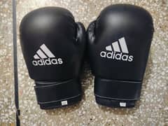 Boxing Gloves ( FOR SALE )