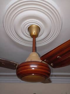 celling fan used good condition