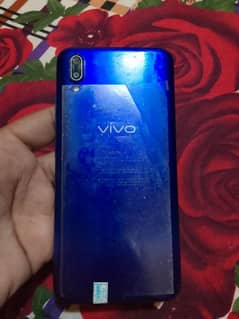 vivo