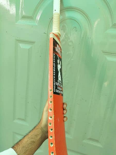 cricket bat 1