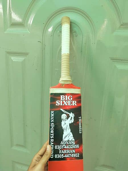 cricket bat 2