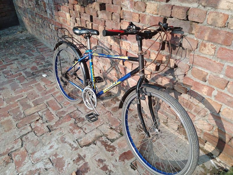 Giant Adult size bicycle with alloy rims and gears 1