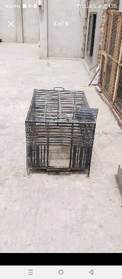 cage for cats. . dogi