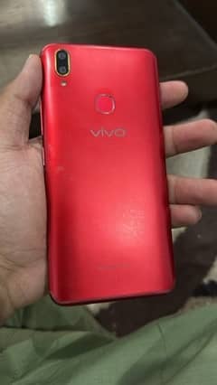 VIVO