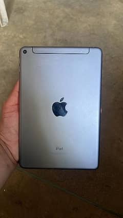 ipad mini 5