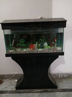 aquarium