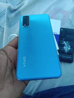 vivo