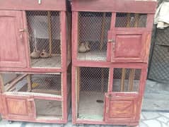 2 cages for birds and hens . .