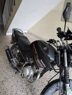 Yamaha YBR 125 for Sale 0