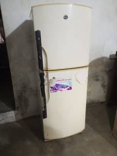 PEL Refrigerator Used For sale