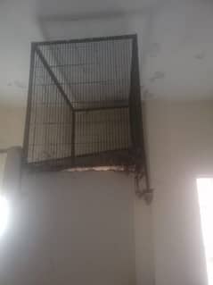 Parrot Cage