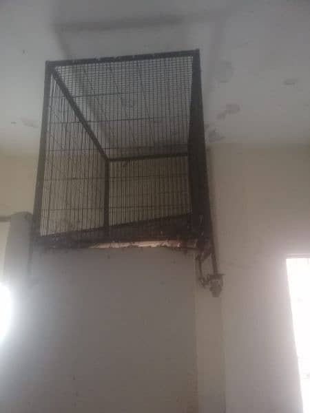 Parrot Cage 0